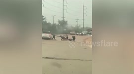 Drivers risk lives to rescue motorcycle rider swept away by surging floods in Thailand