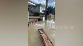 Resident rescues stray cat trapped amid heavy floods in Thailand