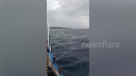 Sixteen rescued after boat capsizes 'due to engine malfunction' in the Philippines