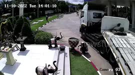Lucky painter avoids being crushed by truck's trailer