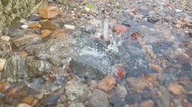 Waterfall Relaxing Music with Nature Sounds  in India , Nature waterfall