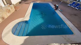 Oddly satisfying time-lapse video of a dirty swimming pool being cleaned until it sparkles