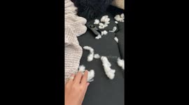 Puppy destroys pillow and gives innocent and puppy eyes, avoiding eye contact. Puppy named Oslo, Dachshund
