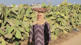 Palestinian Amune Abu Rajila, 72, works in her field on the International Day of Rural Women