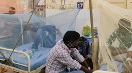 Huge outbreak of dengue fever in many cities of  Uttar Pradesh, India