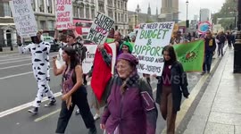 Good Food Good Farming environmentalists and farmers march in London