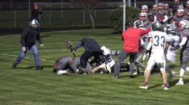 Massive brawl erupts during US high school football game between Northridge and Utica