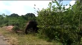 Elephant attack