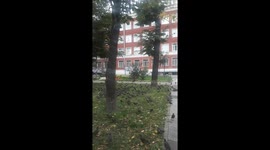 Nice nature animals,birds from Moscow.I love it.Just be nature!!!