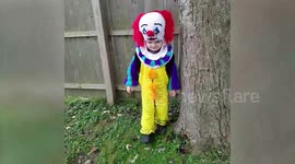 US mum spends up to 80 hours making crocheted Halloween costumes for her kids
