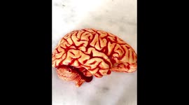 FREAKY FOOD: 'Hannibal Lecter' mum 'accused of cannibalism' creates hyper-realistic BRAINS, 'human' hearts and fingers – and it's all edible Part 2