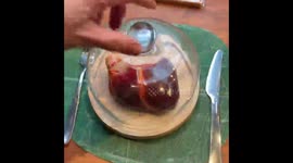 FREAKY FOOD: 'Hannibal Lecter' mum 'accused of cannibalism' creates hyper-realistic BRAINS, 'human' hearts and fingers – and it's all edible Part 4