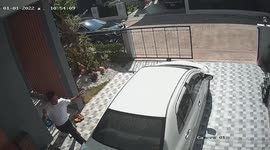 Pet bird escapes to freedom as owner's friend walks out door