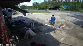 Thoughtful dog rushes to mechanic owner to help him after tyre explodes at garage