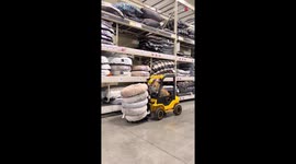 Self-reliant, Doggle-wearing dog driving a forklift in a PetSmart store