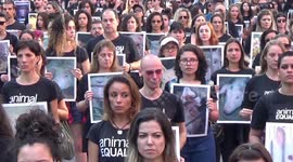 Animal Right activists protest in Sao Paulo, Brazil