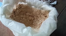 Artist builds intricate handmade dragon sculptures from sawdust