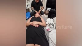Protective pet Shih Tzu dog saves owner from massage therapist