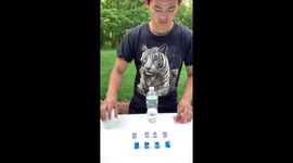 Creative genius whips up INCREDIBLE dice-stacking trick shot out of boredom