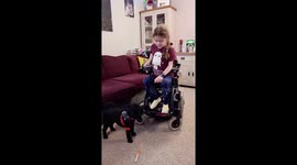 Cute Toy Poodle help pick up items for disabled child owner