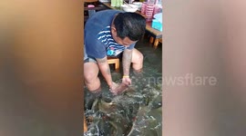 Diners eat with fish snapping swimming around their legs in flooded restaurant in Thailand