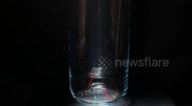 Watch these Orbeez pellets expand as they're dumped into water