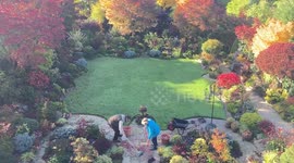 Stunning video shows wave of autumn colour spreading across one of Britain's most celebrated gardens