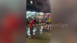 Cobra flushed out by floods caught on road in front of shocked drivers