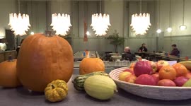 Mouth-watering fruit display with Halloween pumpkins in elegant settings of The National Cafe in London