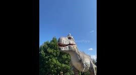 A Funny Seagull sitting on top of a Moving Tyranosaurus Rex