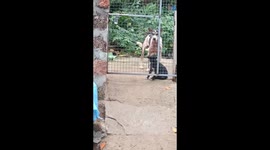 Naughty dog locked outside cleverly sneaks into to eat food meant for other dogs