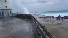 Hundreds of crabs blown onto shore in China by Typhoon Nesat