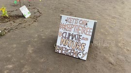 Extinction Rebellion activists plant oak tree in Parliament Square