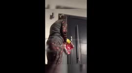 Halloween trick or treat