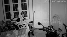 Magnitude 4.1 Thai earthquake rocks scooters parked in house
