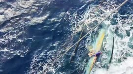 Fisherman floating in sea for THREE days when boat capsized rescued in the Philippines