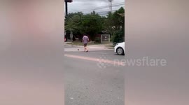 Hero driver stops in middle of traffic to save kitten lost on busy road