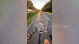 Cyclist takes pet cat for ride in basket attached to handlebars