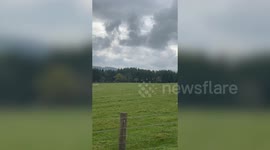 Missing sheepdog who had to have its leg amputated after he was found injured is back to work on the farm