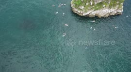 Relaxing Snorkel session from Drone view.