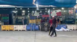 The start of the olive harvest season in the Gaza Strip amid optimism for the abundance of production this year.