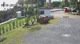 Truck topples over while driving along uneven road in Thailand
