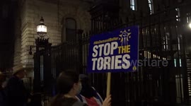 Pro-EU protesters demand general election outside 10 Downing Street as Liz Truss resigns as UK prime minister