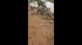 The man used different sounds to call 3 flocks of thousands of ducks back