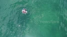 Relaxing snorkel session with a view of mantraya near of Tortuga Island in Costa Rica.(Drone view)