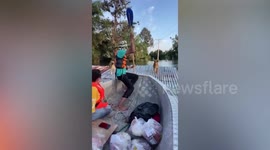 Animal lovers feed stray dogs stranded on roof amid high floods in Thailand