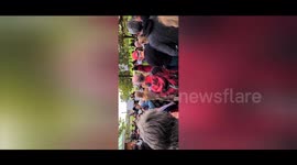 Memorial for  former UKIP candidate Jeff Wyatt at speakers Corner.