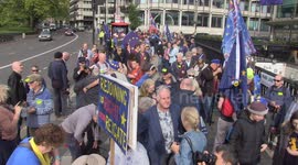 Pro-EU demonstrators rally in London for UK to rejoin the European Union