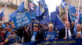 A call to rejoin the  European union attracted over 20.000 supporters  central London rally and march