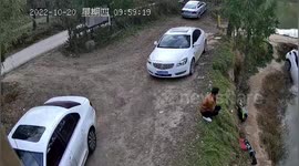 Car slips into fish pond as motorist forgets to pull handbrake in China